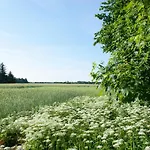 Fuglsang