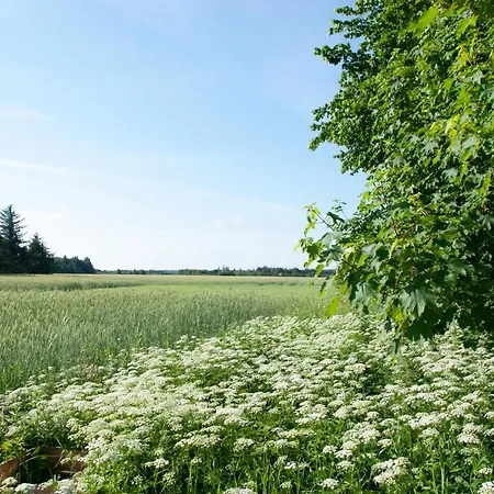 Fuglsang