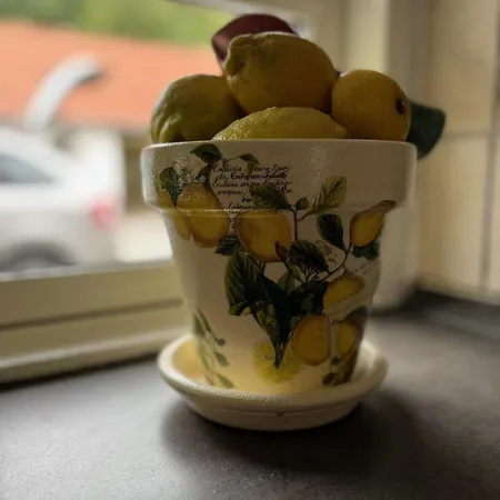 فندق مبيت وإفطار Fuglsang