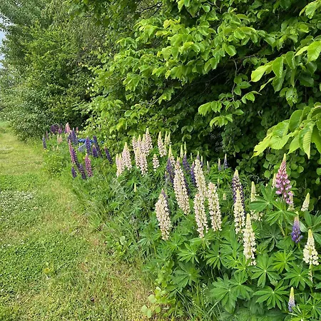 فندق مبيت وإفطار Fuglsang