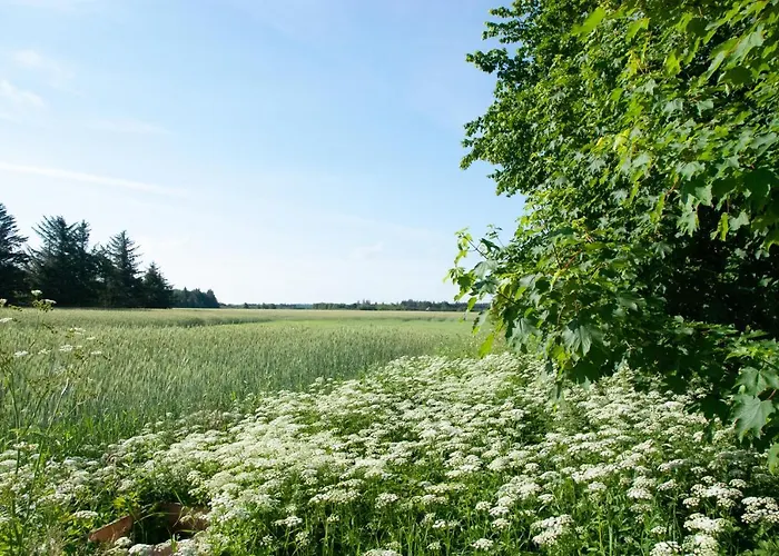 Fuglsang