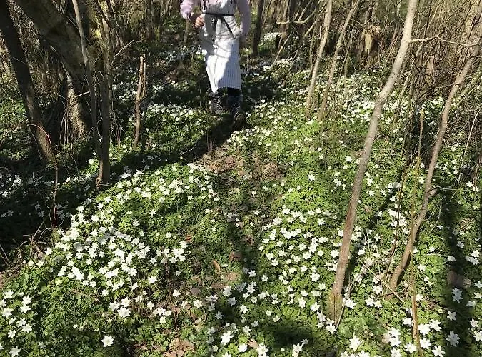 Bed & Breakfast Fuglsang Hjørring